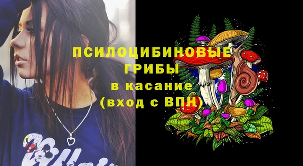 бошки Абаза