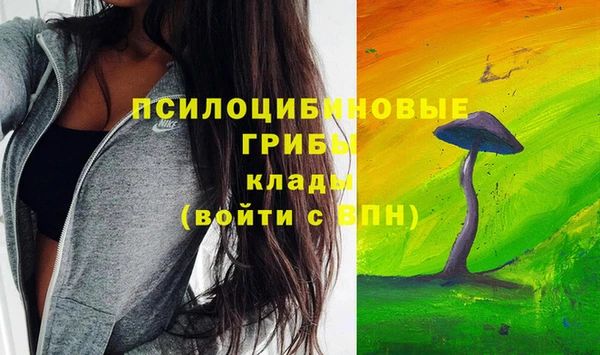 шишки Алексеевка