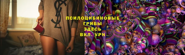 скорость Алзамай