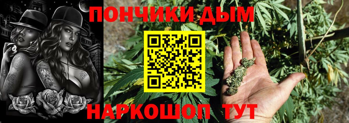 Бошки марихуана Bruce Banner Прокопьевск